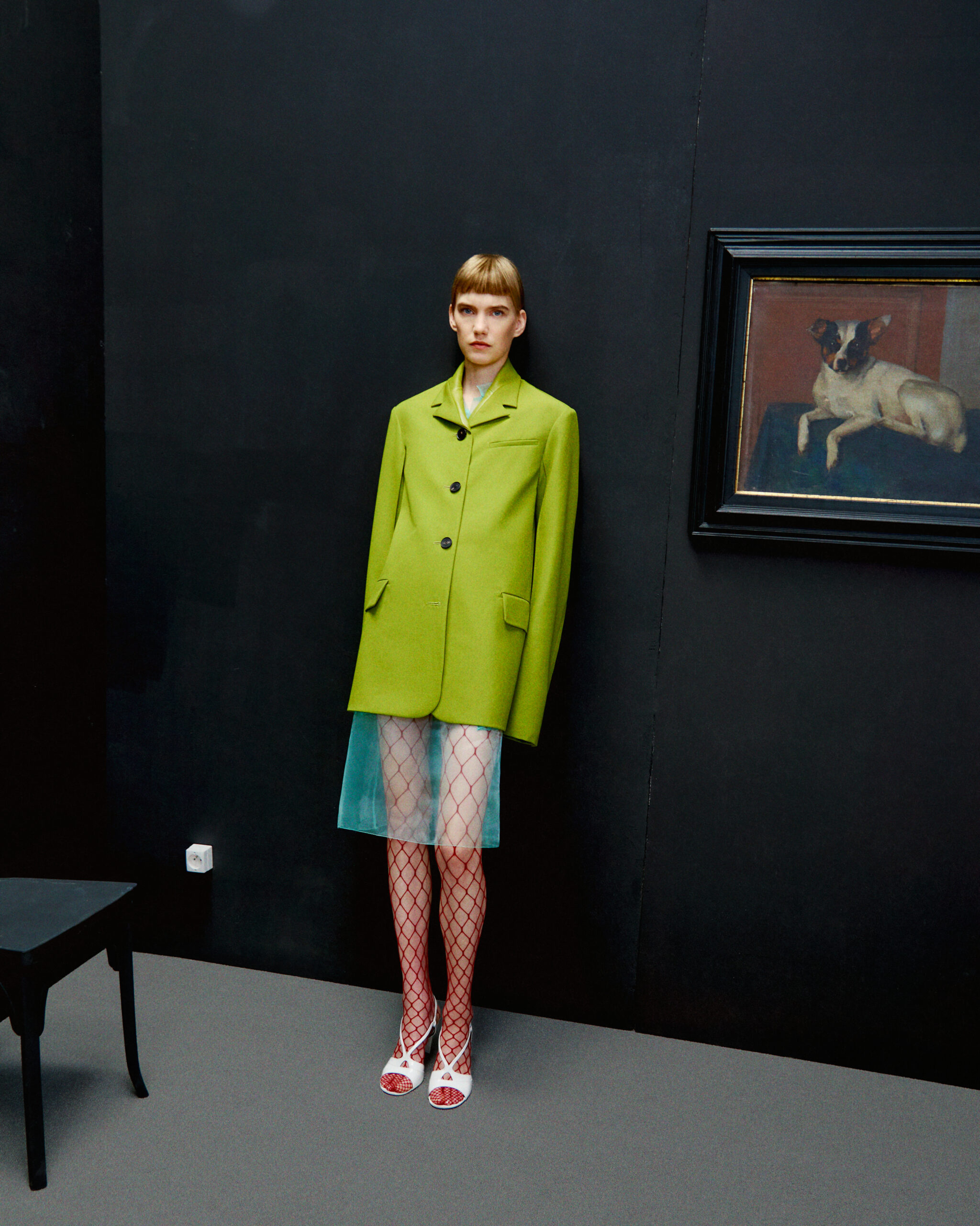 How Intellectualism became the new status symbol