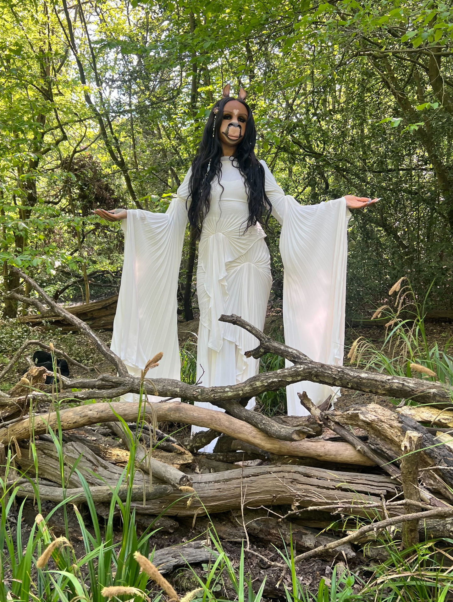 How horsegiirL became pop’s wildest new environmentalist